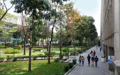 Los egresados ucabistas escogerán representantes del 11 al 15 de noviembre
